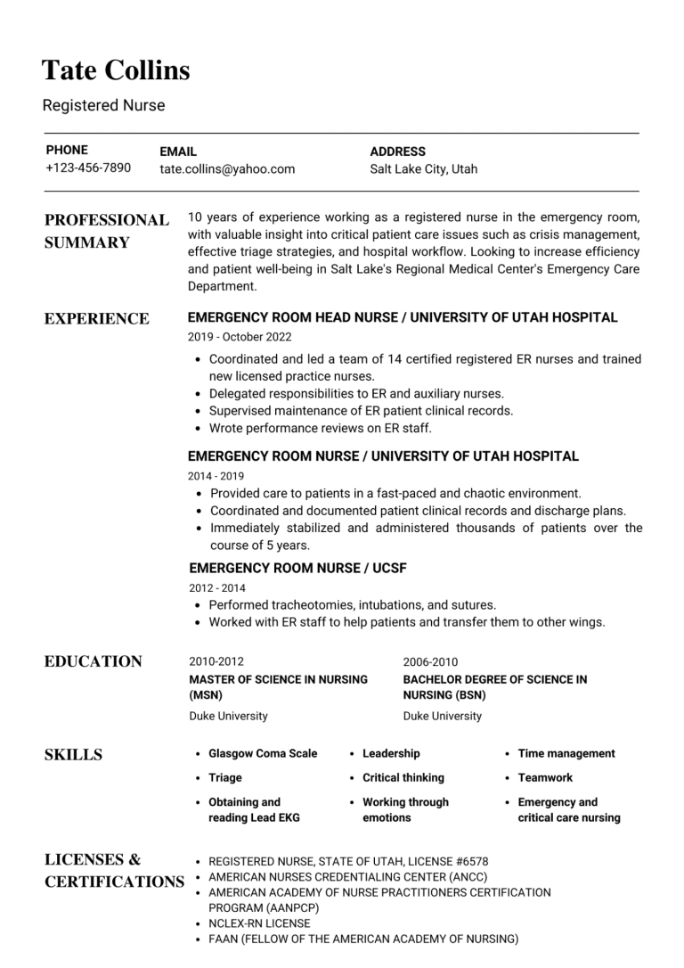 template resume for a lead nursing position